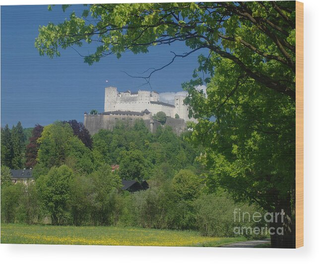 Europe Wood Print featuring the photograph Hohensalzburg fortress Austria 4 by Rudi Prott