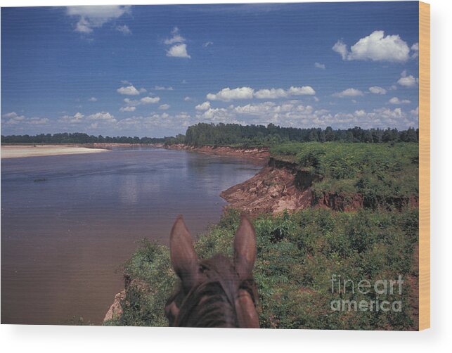Horse Wood Print featuring the photograph Horseback Riding by Marc Bittan