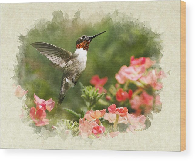 Note Card Wood Print featuring the mixed media Note Card Hummingbird Garden Jewel by Christina Rollo