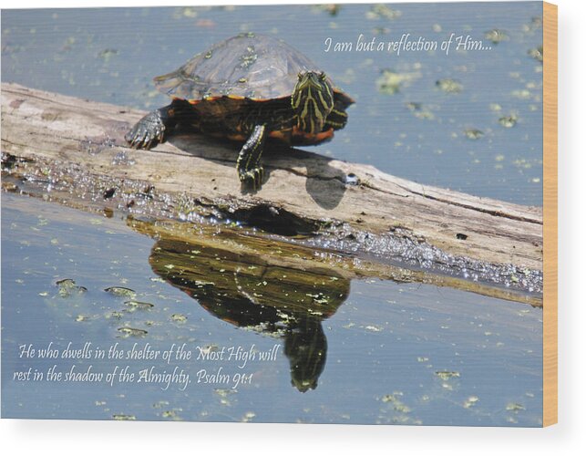 Teresa Blanton Wood Print featuring the photograph I Am But A Reflection by Teresa Blanton