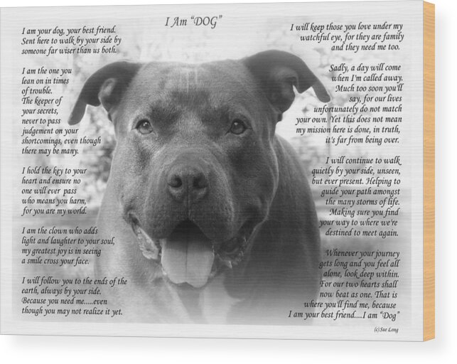 Quote Wood Print featuring the photograph I Am DOG by Sue Long
