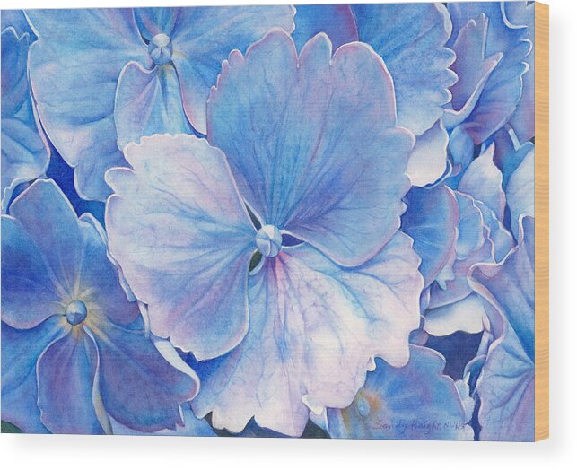 Hydrangea Floral Flower Summer Botanical Blue Purple Close Up Garden Wall Art Interior Design Decor Watercolor Painting Bloom Wood Print featuring the painting Ice Queen by Sandy Haight