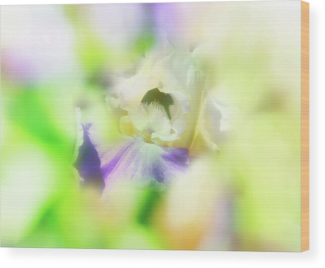 Floral Wood Print featuring the photograph In the garden by Toni Hopper
