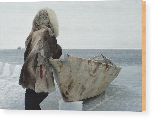 00084438 Wood Print featuring the photograph Inuit Hunter In Traditional Clothes by Flip Nicklin