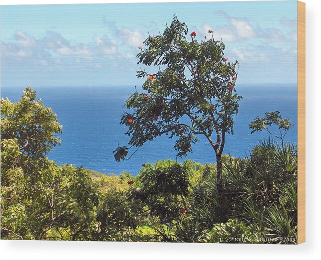 Landscape Wood Print featuring the photograph Island Breeze by Nicole I Hamilton