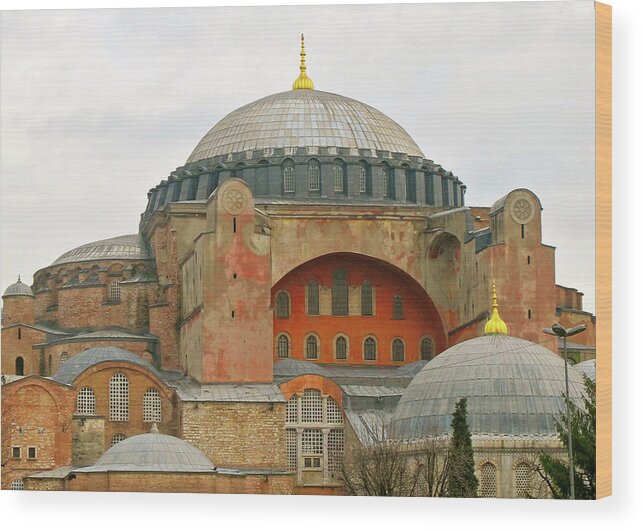 Turkey Wood Print featuring the photograph Istanbul Dome by Munir Alawi