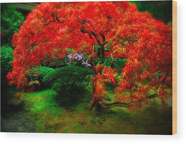 Portland Wood Print featuring the photograph Japanese Gardens Portland by Craig Perry-Ollila