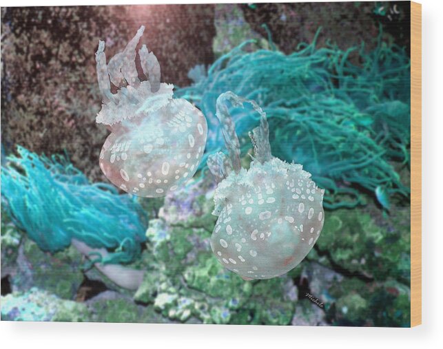 Jelly Wood Print featuring the photograph Jellyfish in Aquarium by Michele A Loftus