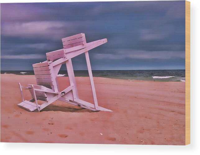 Island Beach State Park Wood Print featuring the photograph Jersey Shore 2 by Allen Beatty