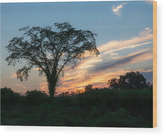 Sunset Wood Print featuring the photograph July Sunset by Holden The Moment