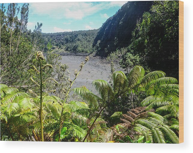 Hawaii Wood Print featuring the photograph Kilauea Iki View by Pamela Newcomb