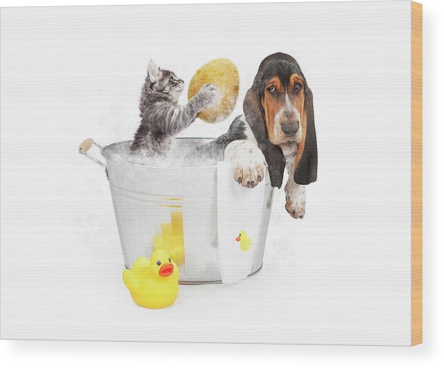 Dog Wood Print featuring the photograph Kitten Washing Basset Hound in Tub by Good Focused