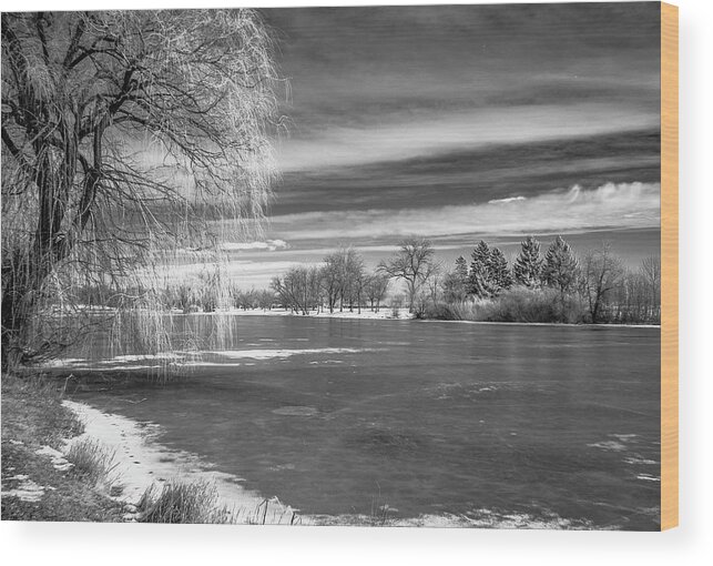 Monochrome Wood Print featuring the photograph Lagoon #3 by John Roach