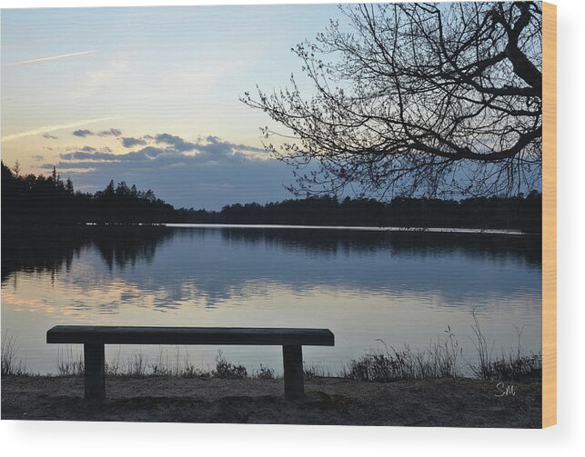 Landscape Wood Print featuring the photograph Lake Horicon 9 by Sami Martin