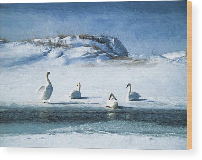Use Wood Print featuring the photograph Lake Michigan Swans by Dennis Cox