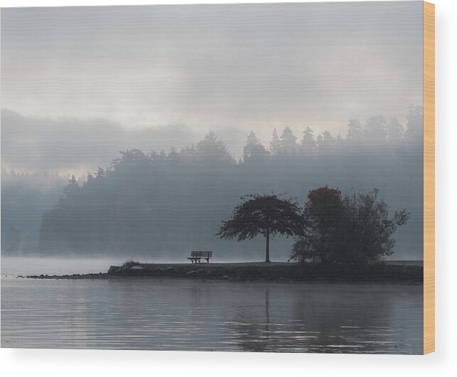 Fog Wood Print featuring the photograph Lake Washington Fog 1540 by Pamela S Eaton-Ford