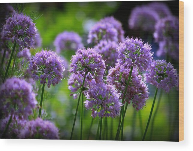 Flowers Wood Print featuring the photograph Lavender Breeze by Linda Mishler