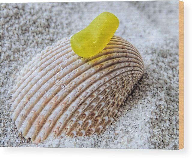 Sea Glass Wood Print featuring the photograph Lemony by Janice Drew