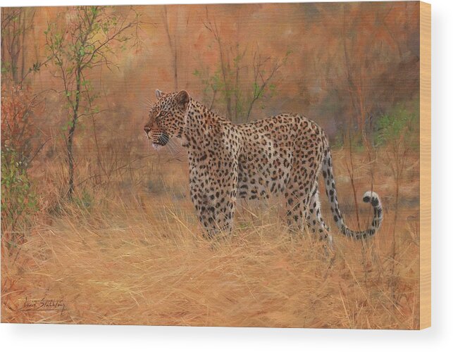 Leopard Wood Print featuring the painting Leopard in African Bush by David Stribbling