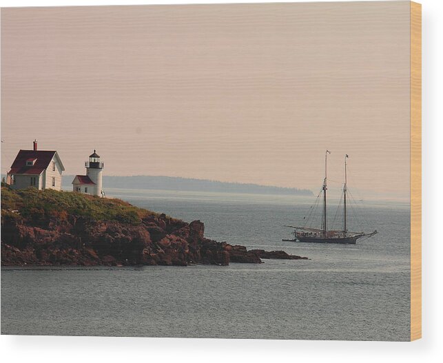 Seascape Wood Print featuring the photograph Lewis R French At The Curtis Island Lighthouse by Doug Mills