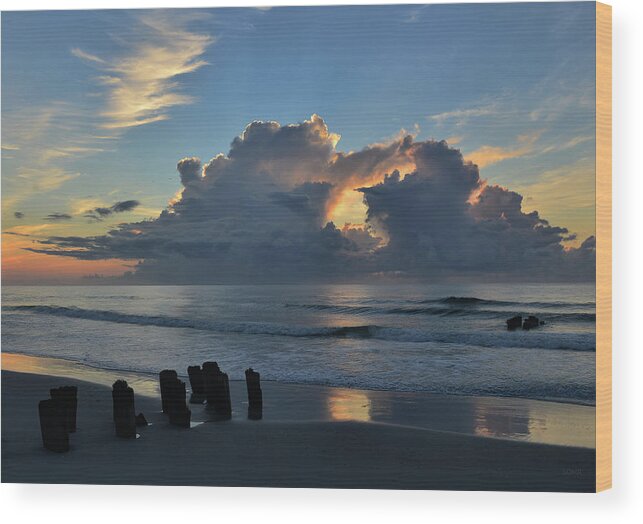 Beach Wood Print featuring the photograph Light of the World by Dana Sohr