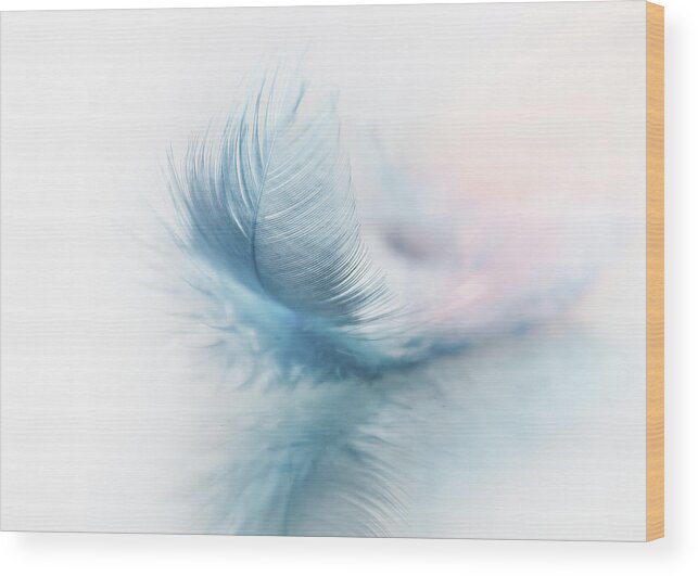 Feather Wood Print featuring the photograph Lightness 2 by Christine Sponchia