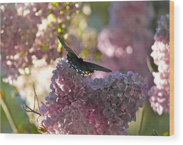 Butterfly Wood Print featuring the photograph Lilac World by Michele Myers