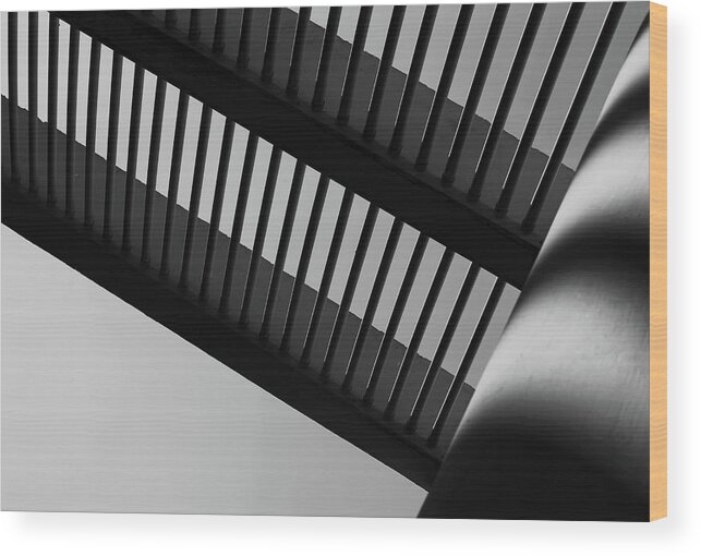 Lines Wood Print featuring the photograph Lines in Black and White by Prakash Ghai