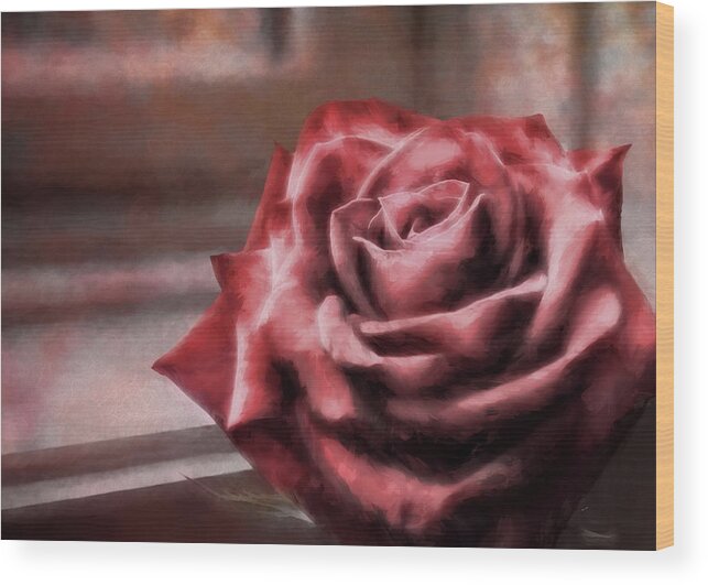 Pink Wood Print featuring the photograph Love Is A Rose by Jim Hill