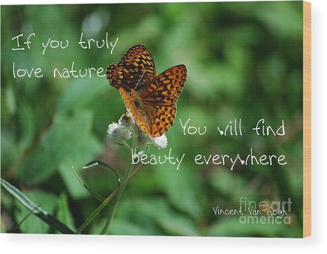 Butterflies Wood Print featuring the photograph Love of Nature by Sharon Elliott