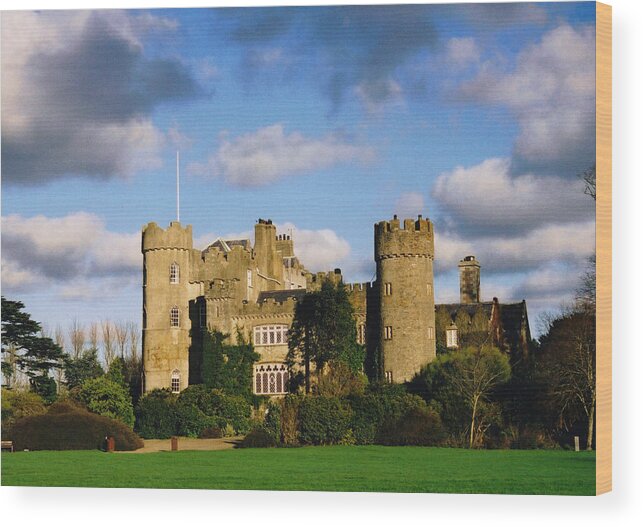 Malahide Castle Wood Print featuring the photograph Malahide Castle by Martina Fagan