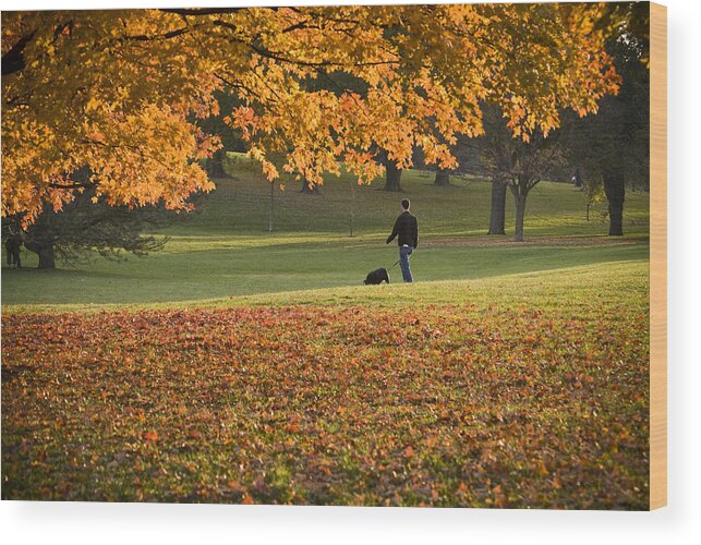 Park Wood Print featuring the photograph Man in the Park by Chad Davis