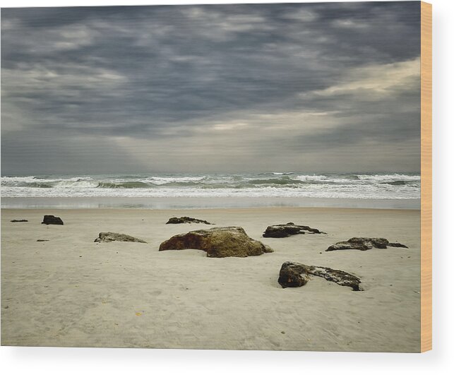Marine Land Beach Wood Print featuring the photograph Marineland Florida Beach by Steven Michael
