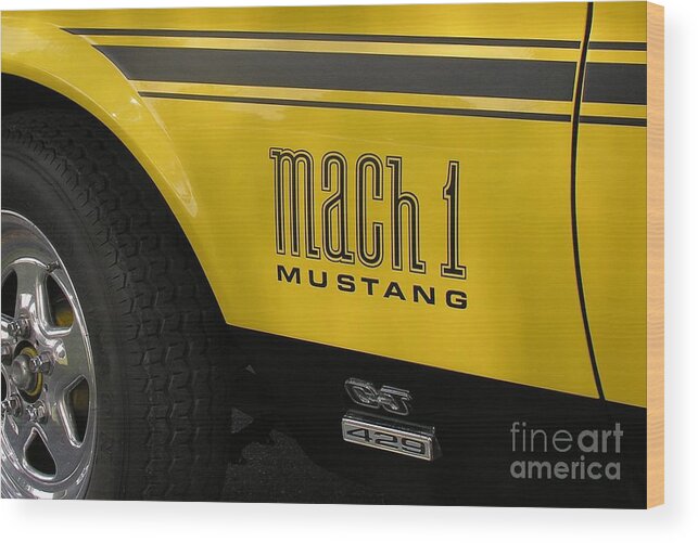 Race Car Wood Print featuring the photograph Mark Of The Beast by Richard Rizzo