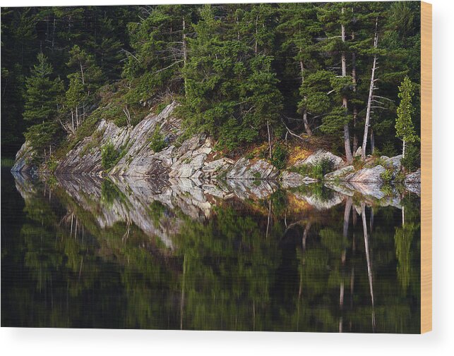 Massasauga Wood Print featuring the photograph Massasauga Park Reflection by Steve Somerville