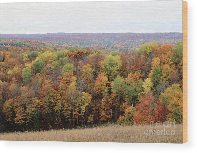 Michigan Wood Print featuring the photograph Michigan Autumn by Laura Kinker
