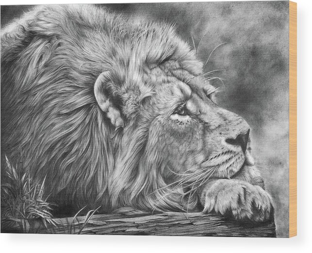 Lion Wood Print featuring the drawing Miles Away by Peter Williams