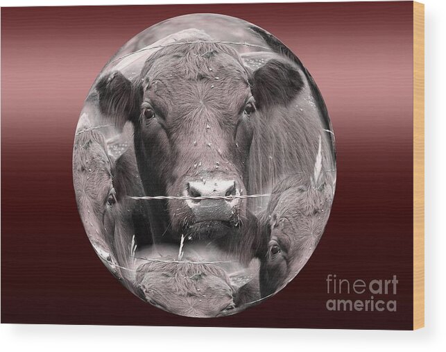 Abstract Wood Print featuring the photograph Monochrome Cows by Rick Rauzi