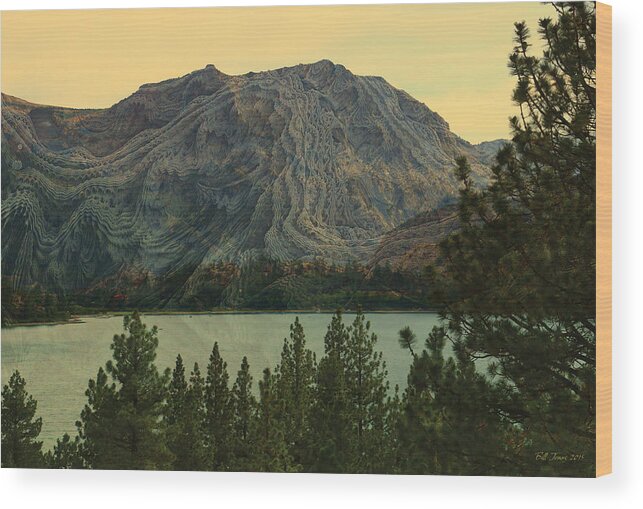 Mountain Wood Print featuring the digital art Mont Mandelbrot by Bill Jonas