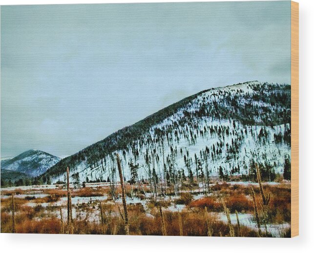Montana Wood Print featuring the photograph Montana View by Susan Kinney