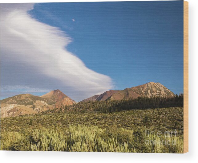 Moon Wood Print featuring the photograph Moon Rise by Brandon Bonafede