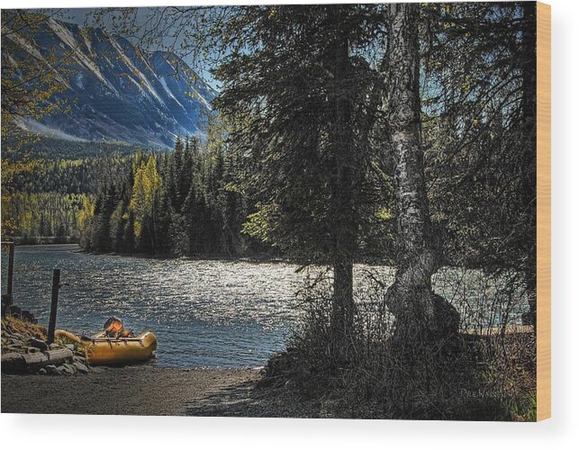 Alaska Wood Print featuring the photograph Moonlight and Mountains by Dyle  Warren