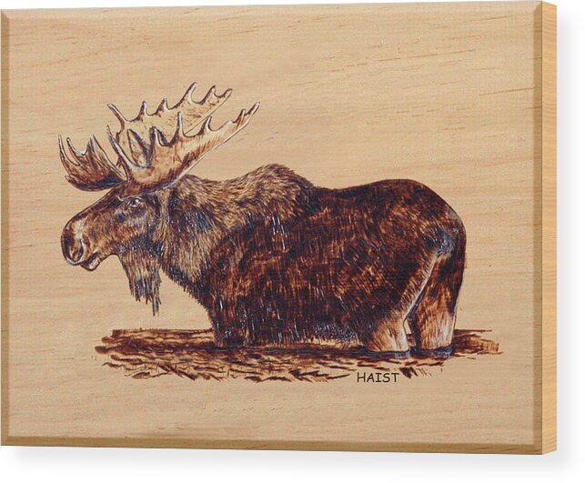 Moose Wood Print featuring the pyrography Moose by Ron Haist