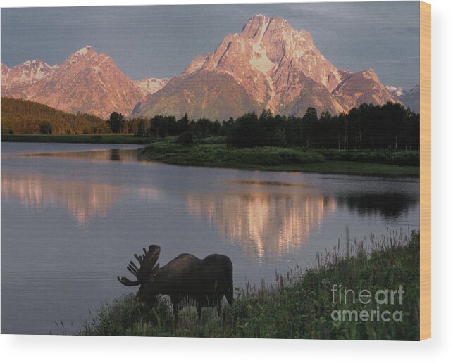 Grand Teton Wood Print featuring the photograph Morning Tranquility by Sandra Bronstein