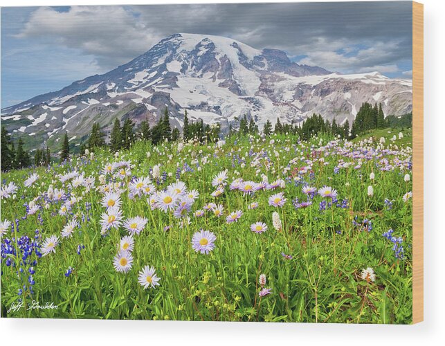 Alpine Wood Print featuring the photograph Mount Rainier and a Meadow of Aster by Jeff Goulden