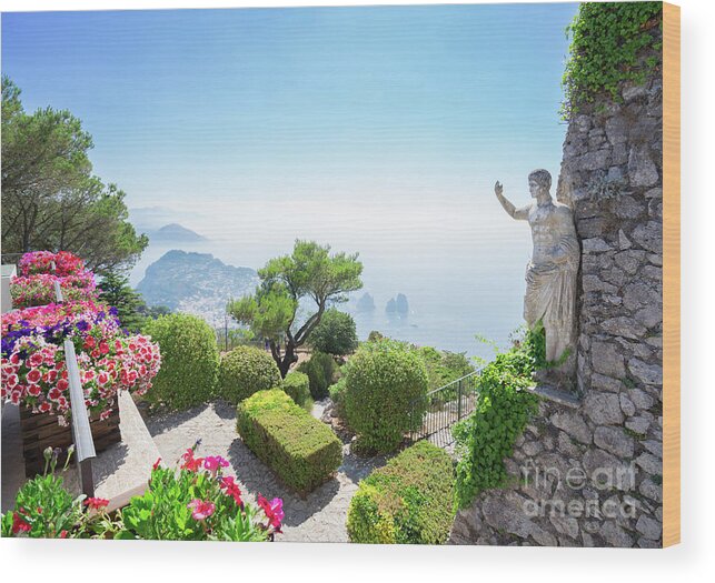 Capri Wood Print featuring the photograph mount Solaro of Capri by Anastasy Yarmolovich