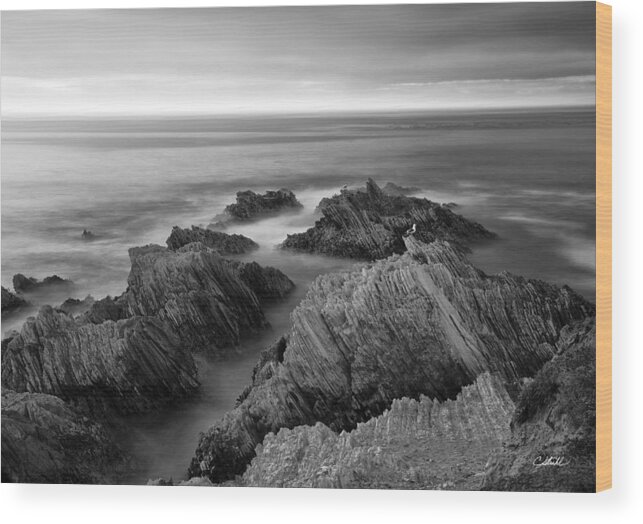 California Wood Print featuring the photograph Mystical Moment bw by Cheryl Strahl