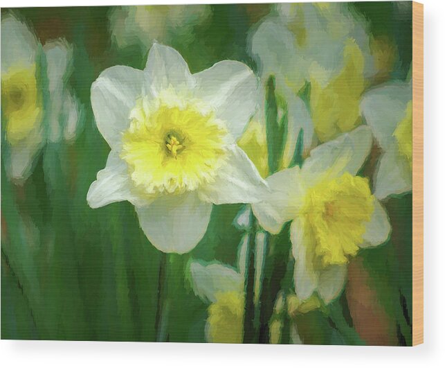 Narcissus Wood Print featuring the photograph Narcissus by James Barber