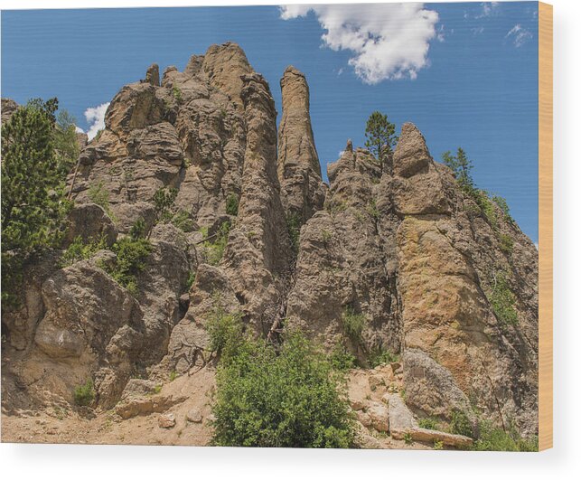 Brenda Jacobs Fine Art Wood Print featuring the photograph Needles in Custer State Park by Brenda Jacobs
