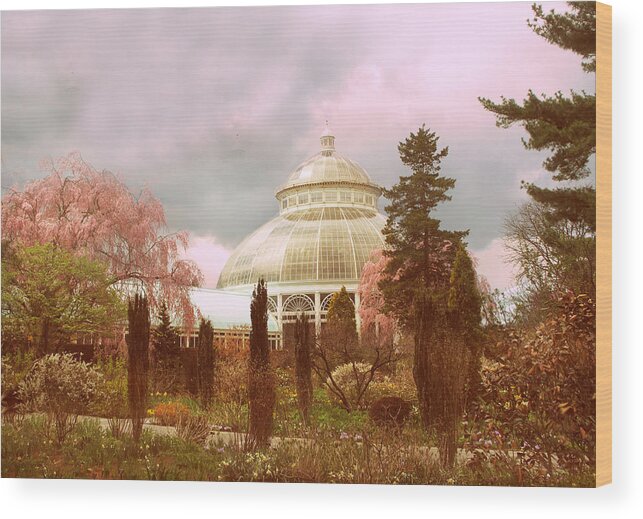 Conservatory Wood Print featuring the photograph New York Botanical Garden by Jessica Jenney
